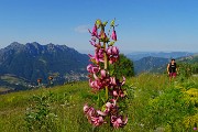 Sentiero dei fiori da Capanna 2000-10lu23